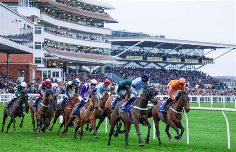 newbury races race card today
